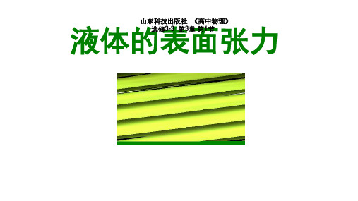 鲁科版高中物理选修33第3章 第1节液体的表面张力公开课教学课件共21张PPT