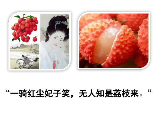 北师大课标版初中生物七年级上册第一单元第一章第2节 生物与环境的相互影响 (2)(共25张PPT)