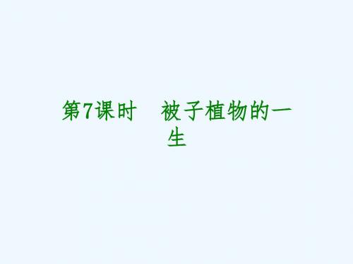 2018年中考生物 第三章节 生物圈中的绿色植物 第7课时 被子植物的一生