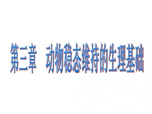 神经调节复习课用