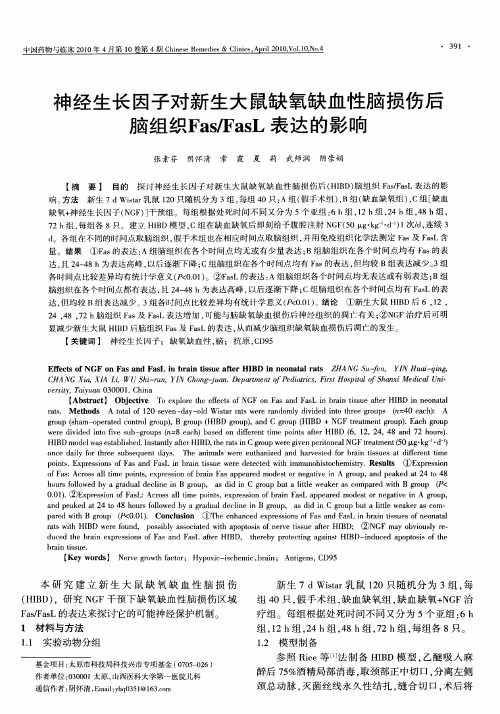 神经生长因子对新生大鼠缺氧缺血性脑损伤后脑组织Fas／FasL表达的影响