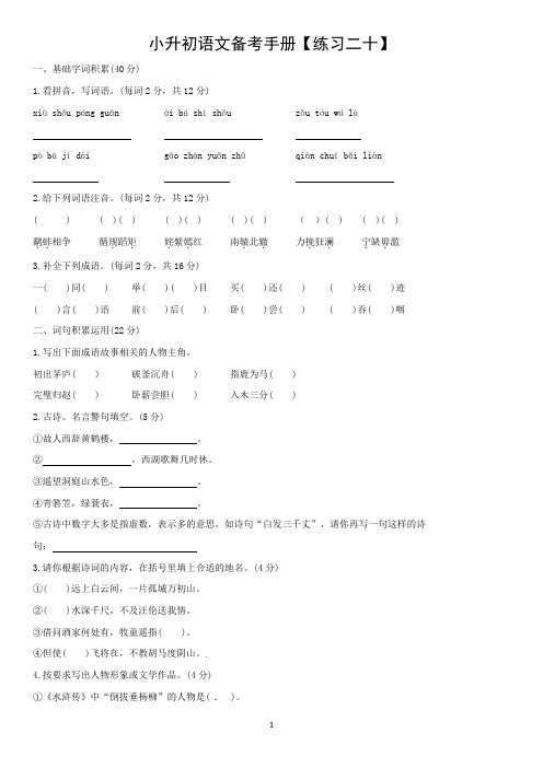 全国卷2019-2020年六年级下小升初语文试卷(含答案)