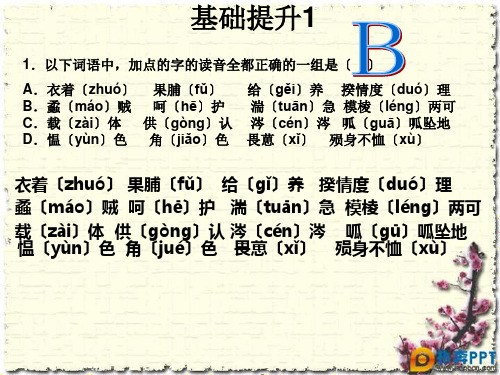 高考语文基础知识题整理ppt课件(1-8)