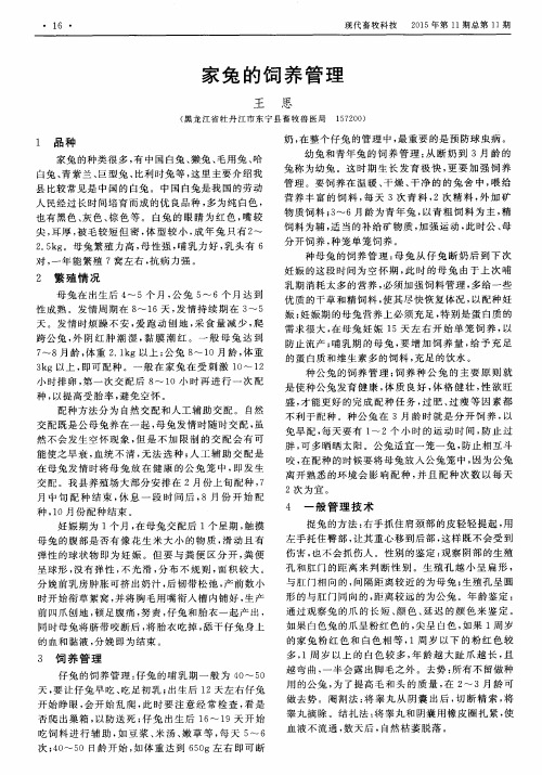 家兔的饲养管理