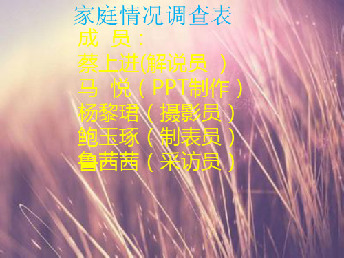 家庭情况调查ppt