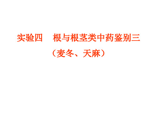 实验四 根及根茎类中药鉴定(三)2010