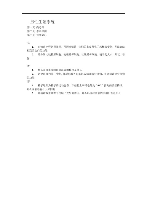 男性生殖系统