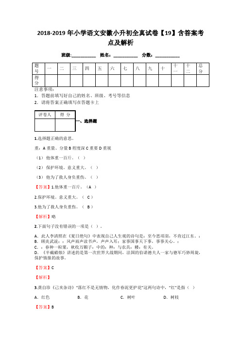 2018-2019年小学语文安徽小升初全真试卷【19】含答案考点及解析