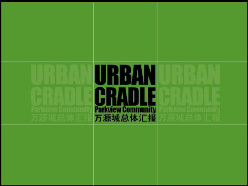 上海万源城都市大盘的项目整体的的策划的报告98PPT-PPT文档资料