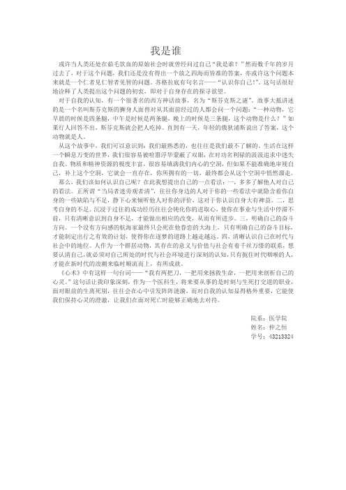 《我是谁》论文