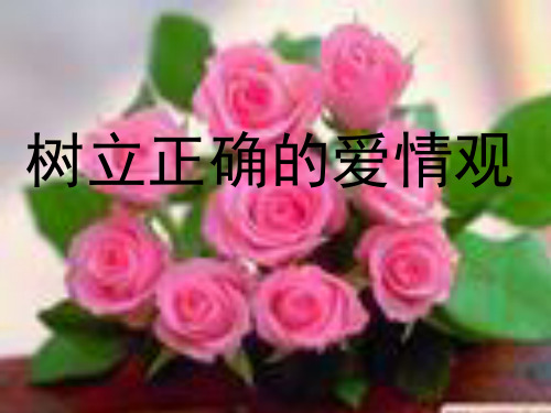 六章树立正确恋爱观