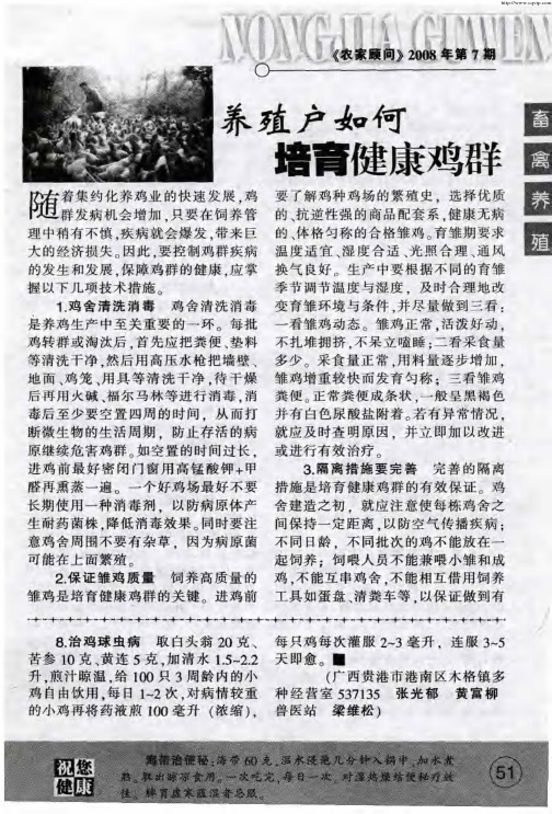 养殖户如何培育健康鸡群