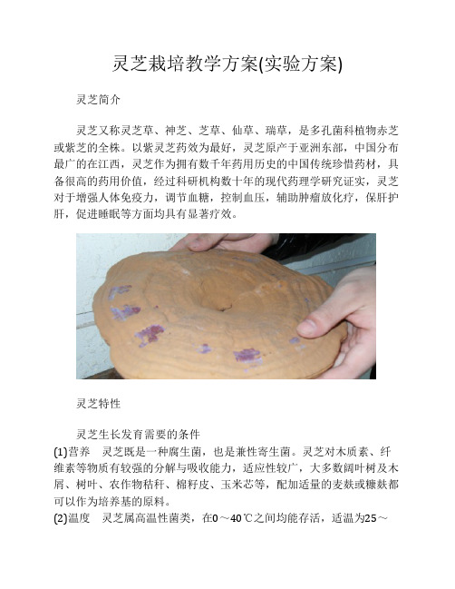 灵芝栽培教学方案