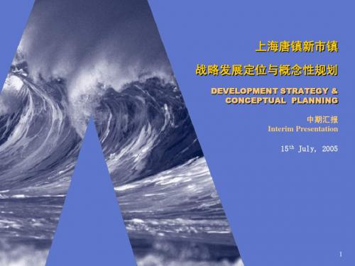 唐镇新市镇中期-最新改动 (NXPowerLite)