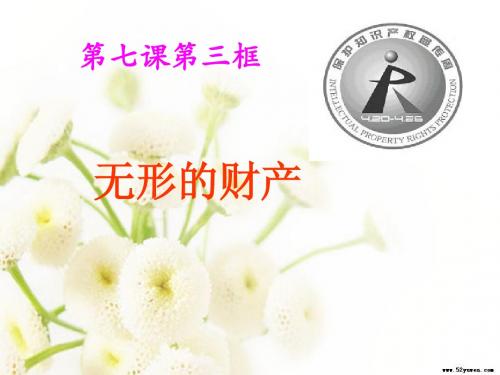 初中思想品德八(下)第七课3无形的财产
