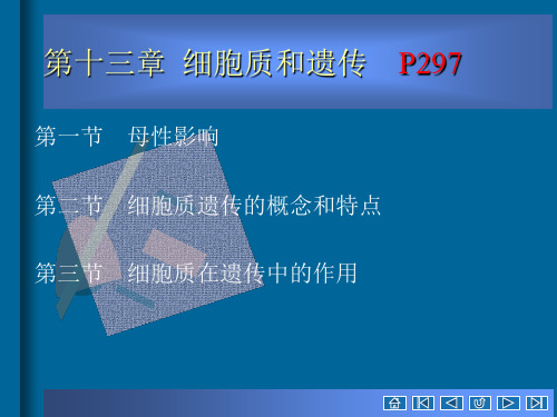 遗传学：第十三章 细胞质遗传(2013修改)