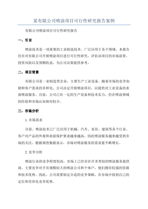 某有限公司喷涂项目可行性研究报告案例