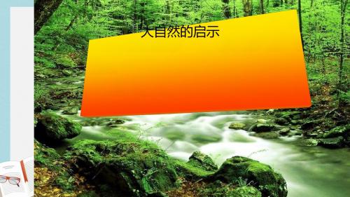 人教版四年级语文下册12大自然的启示ppt课件