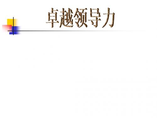 精编卓越领导力2资料