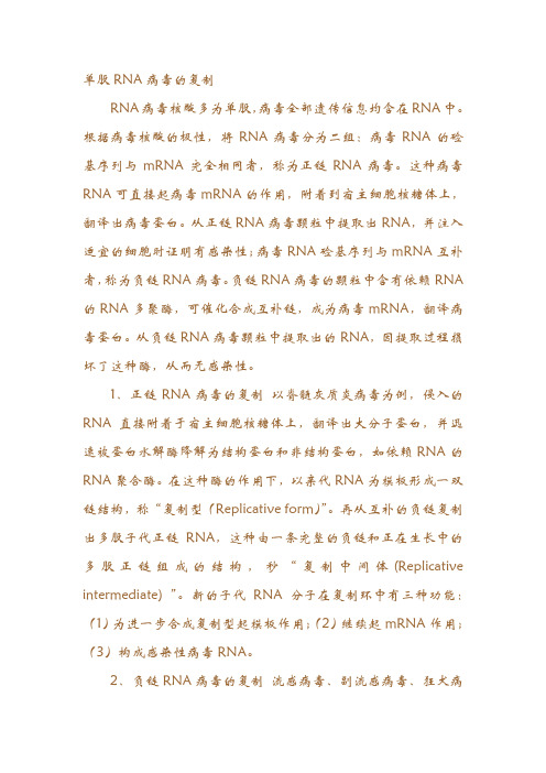 单股RNA病毒的复制