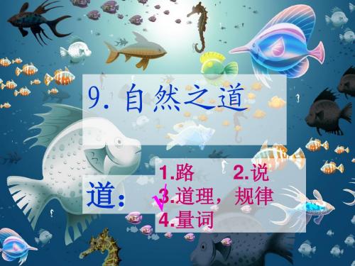 四下语文__自然之道(很全) (1)