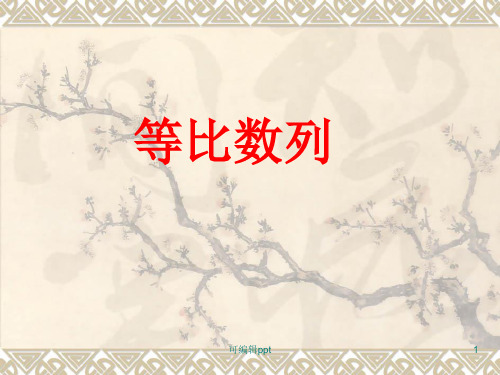 等比数列的概念及通项公式PPT