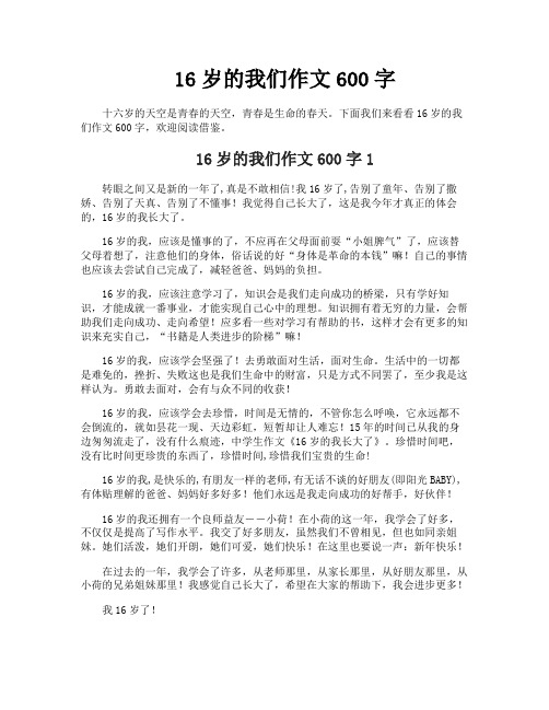 16岁的我们作文600字