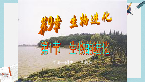 沪科版高中生命科学第三册第九章《生物进化》ppt课件2