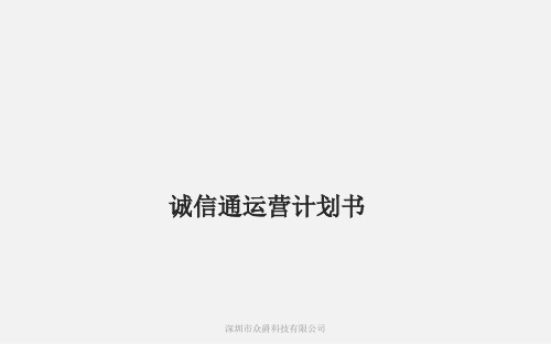 阿里诚信通店运营