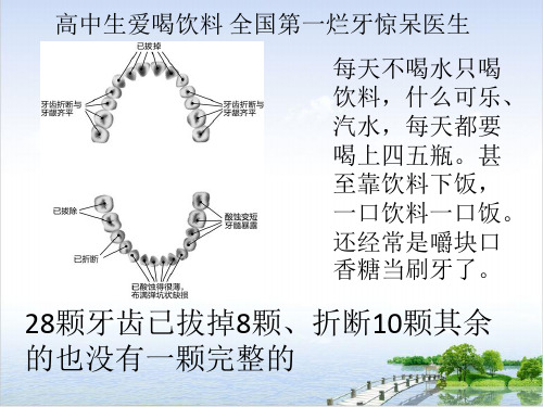 浙教版八级科学下二氧化碳教学精品优秀ppt