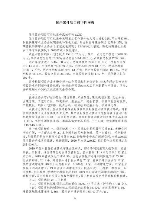 显示器件项目可行性报告