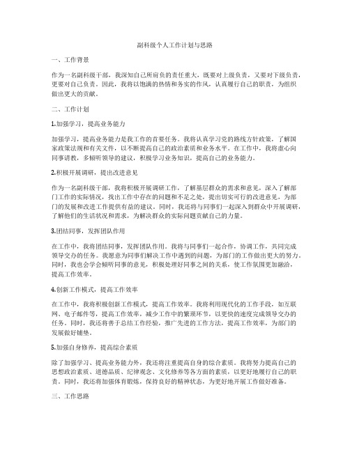 副科级个人工作计划与思路