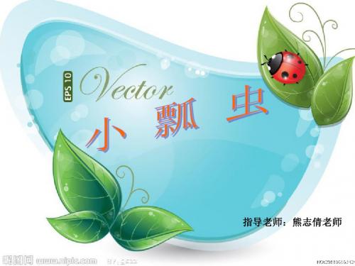 小瓢虫
