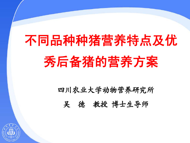 不同品种种猪营养特点及优秀后备猪的营养方案