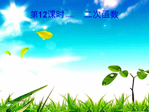 中考数学总复习 第12课时 二次函数数学课件