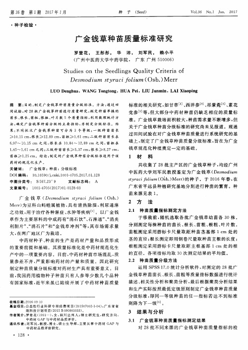 广金钱草种苗质量标准研究