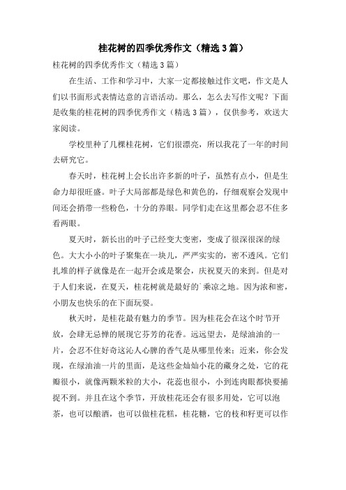 桂花树的四季优秀作文(3篇)