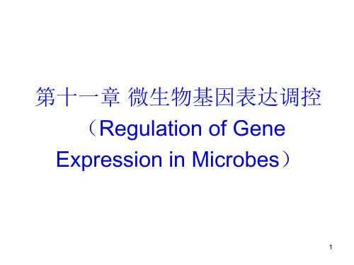 微生物的基因表达调控
