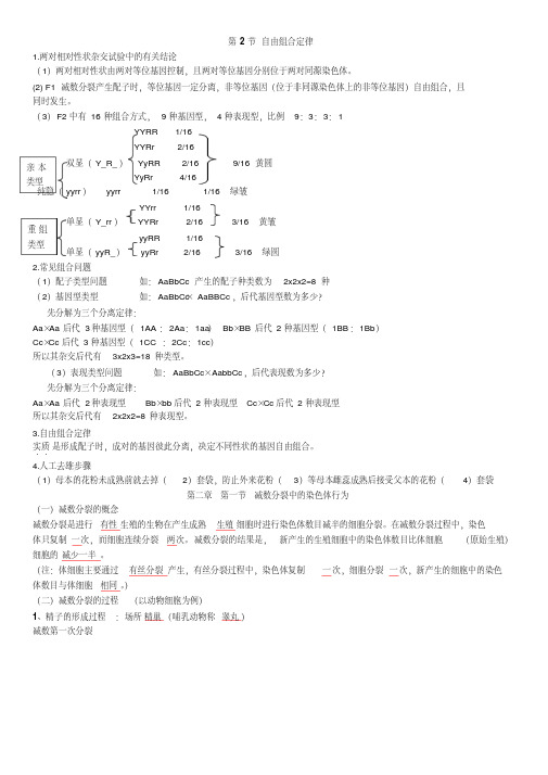 浙科版高中生物必修二复习提纲