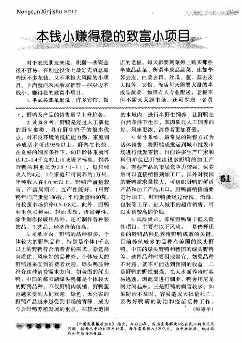 本钱小赚得稳的致富小项目
