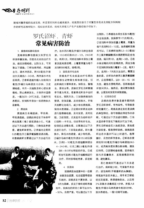 罗氏沼虾、青虾常见病害防治