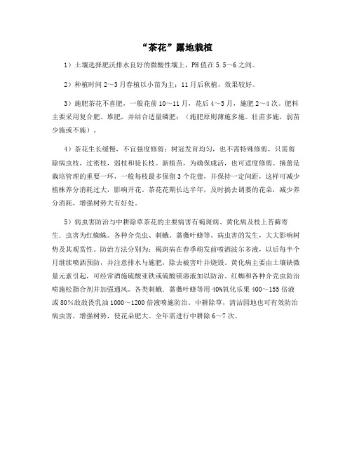 “茶花”露地栽植