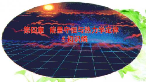 能量守恒与热力学定律高中物理选修3第五章 能源与可持续发展课件1：4.5初识熵(讲述式)
