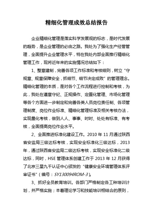精细化管理成效总结报告