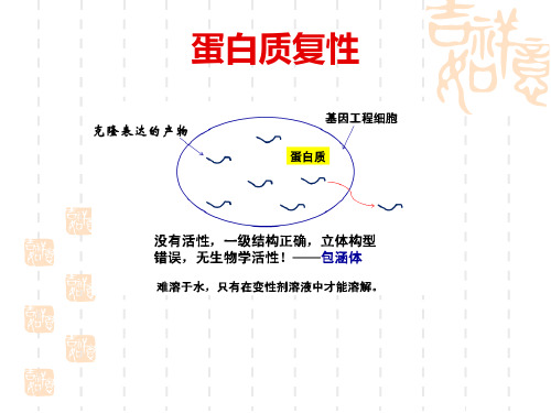 蛋白质的复性