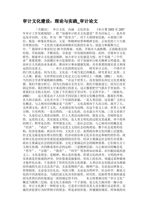 审计文化建设：理论与实践_审计论文