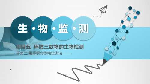 生物监测课件 项目五 环境三致物生物检测 任务二 蚕豆根尖微核监测法(全)