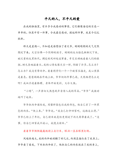 平凡的人,不平凡的爱 小学生征文