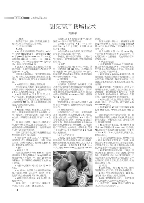 甜菜高产栽培技术