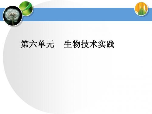 第六单元 生物技术实践 PPT课件